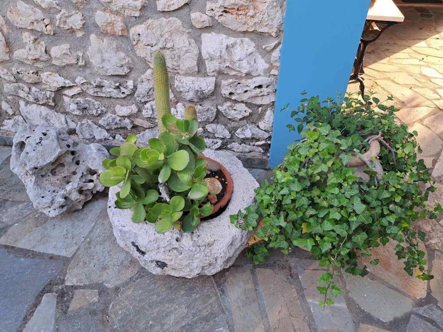 Fragosiko - Rustic Retreat In Kefalonia Аргостоліон Екстер'єр фото