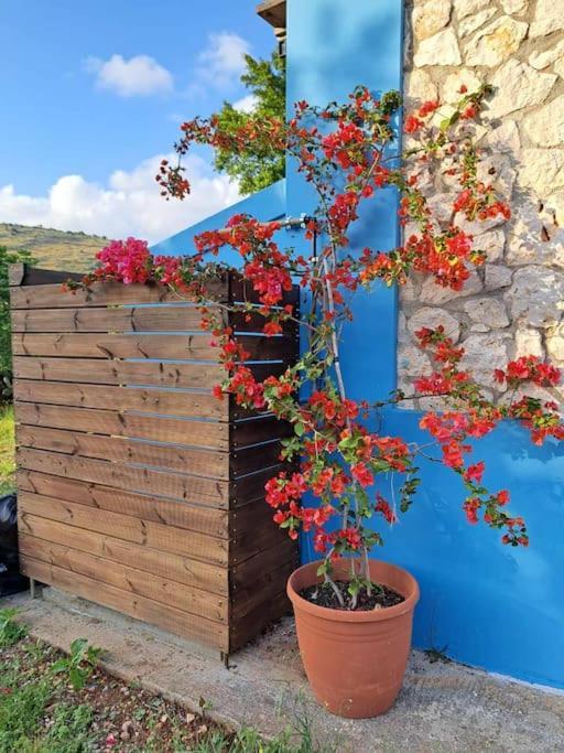 Fragosiko - Rustic Retreat In Kefalonia Аргостоліон Екстер'єр фото