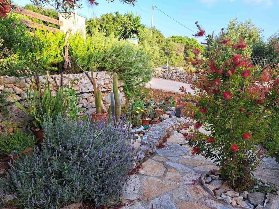 Fragosiko - Rustic Retreat In Kefalonia Аргостоліон Екстер'єр фото
