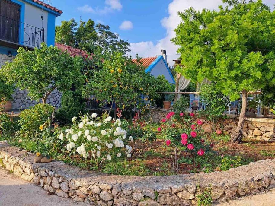 Fragosiko - Rustic Retreat In Kefalonia Аргостоліон Екстер'єр фото